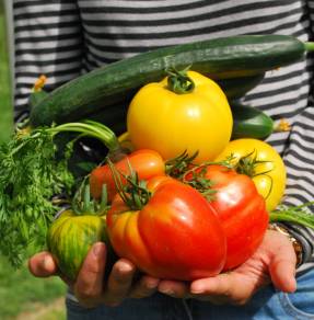 Etats Généraux de l’Alimentation : tous concernés par le contenu...
